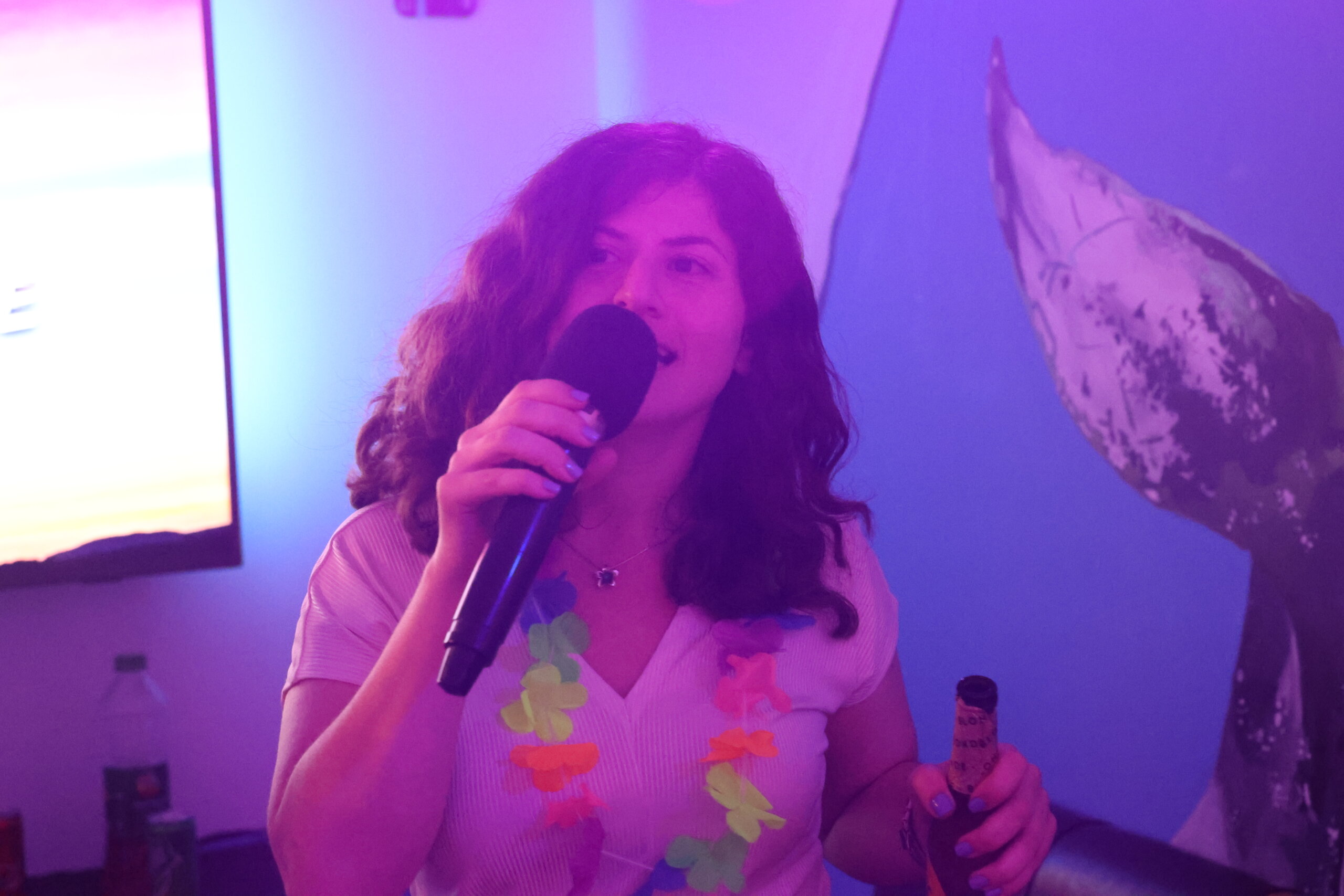 קריוקי ירושלים — המתחם